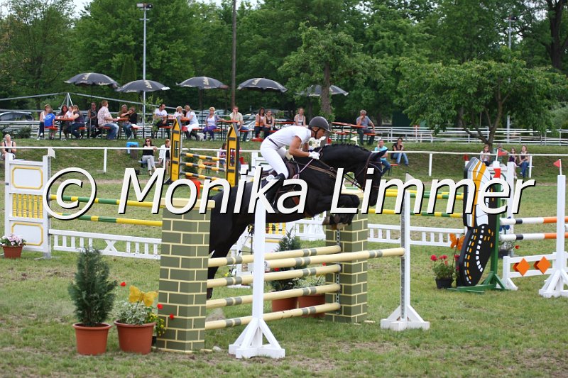 105M2439_Fantastic Touch_Spring_L.JPG